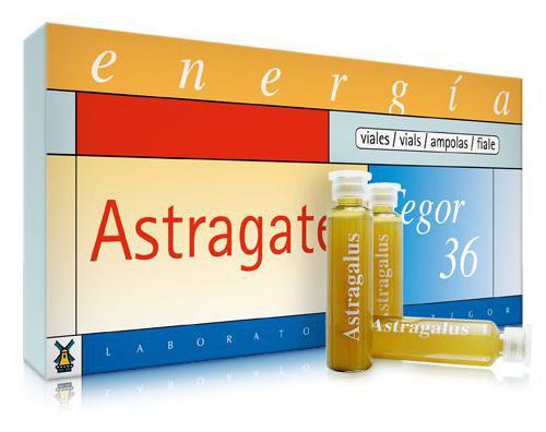 Laboratorios Tegor Astragater Tegor-36 (Royal Jelly) 10Ampollas