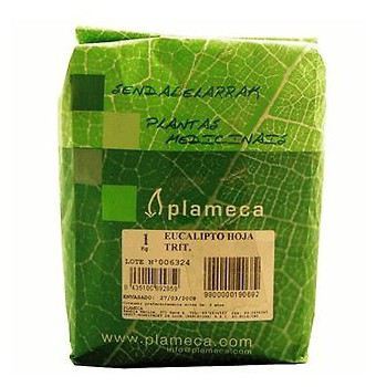 Plameca Thyme Bunches Whole