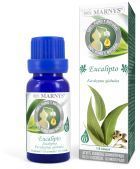 Eucalyptus Essential Oil 15 ml