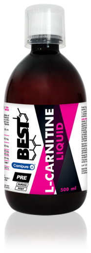 Best Protein L-Carnitine Liquid 500 ml Without Flavor