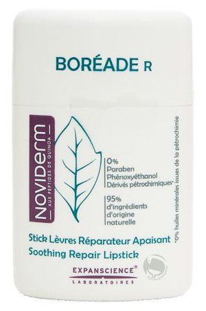 Boreade Stick Lip's repair