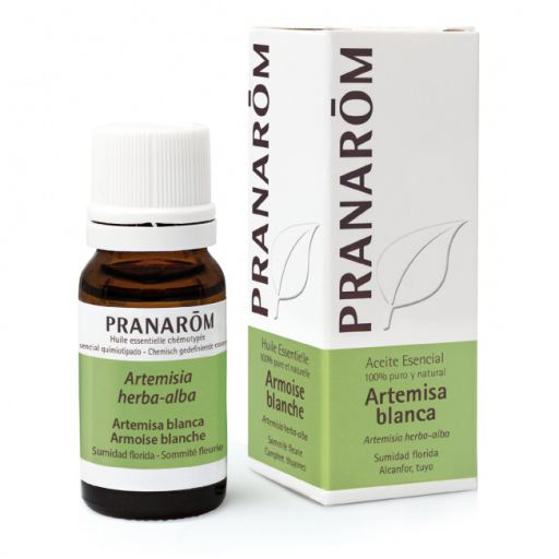 Pranarom White Mugwort Essential Oil 10 ml