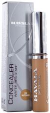 Liquid Concealer 9 ml