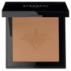 Perfecting Compact Powder 9 gr