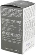 Mico-Leo Lion's Mane 70 Capsules