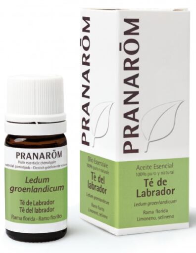 Labrador Tea Essential Oil 5 ml