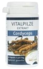 Cordyceps 60 Capsules Cordyceps 60 Capsules