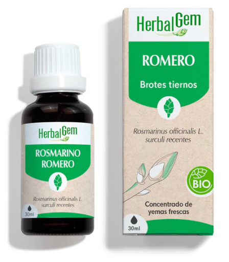 Rosemary 30 ml Bio
