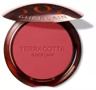 Terracotta Blush Good Face Effect Blush